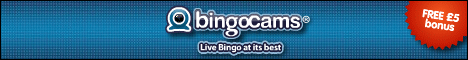 bingo codes